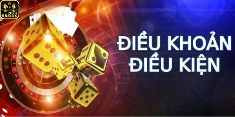 3 nội dung chính trong điều khoản okking