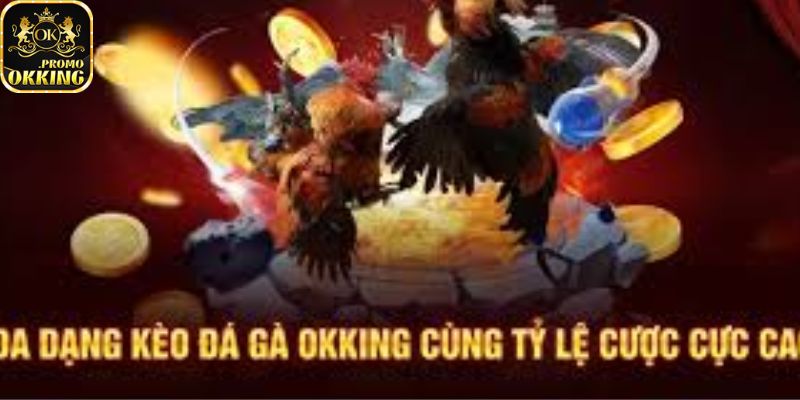 Đá gà có tỷ lệ kèo cạnh tranh cao